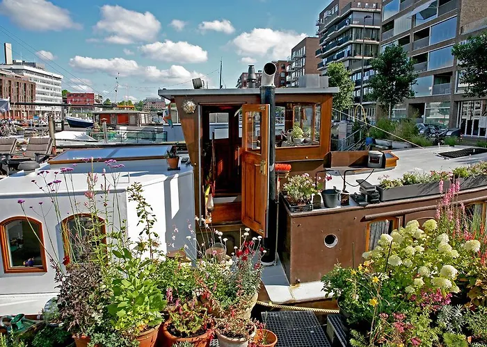 Westerdok25
